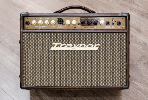 Store Special Product - Traynor - 2-Channel Compact Stereo Acoustic Guitar Amp - 65 Watts
